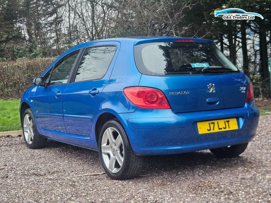 Peugeot 307 Se Hdi 110 Grey #5