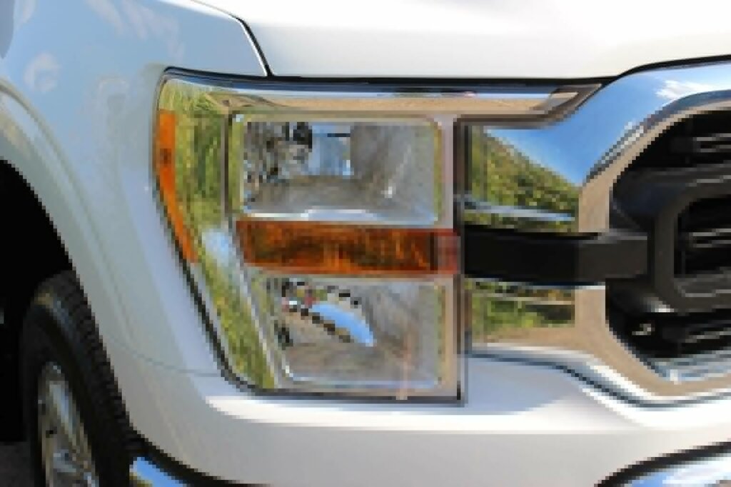 Ford F-150 Xlt 5.0L V8 4Wd Long Bed Silver #31