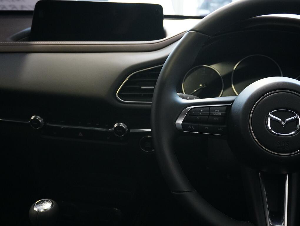 Mazda CX-30 2.0 Skyactiv-x Mhev Gt Sport Tech Grey #9