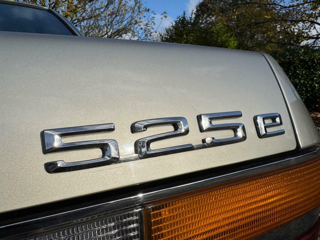 BMW 5 Series 525E Lux Blue #25