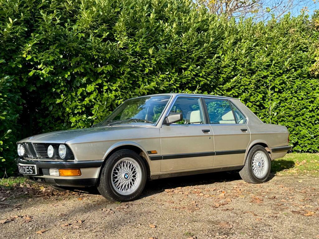 BMW 5 Series 525E Lux Blue #23