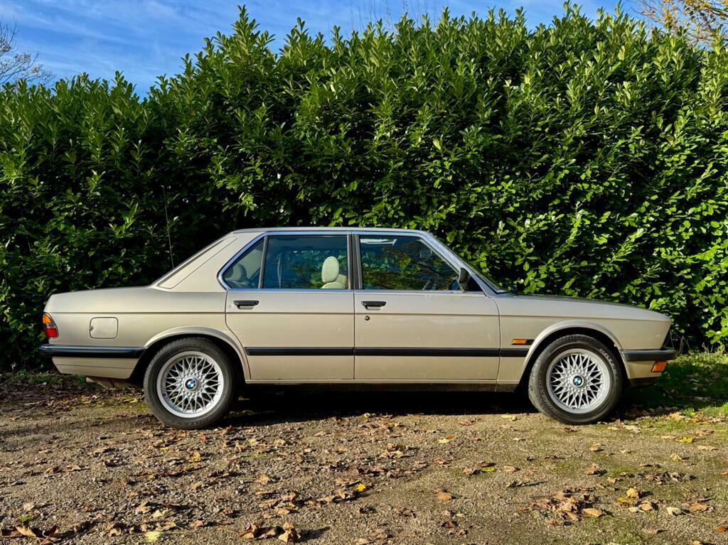BMW 5 Series 525E Lux Blue #15