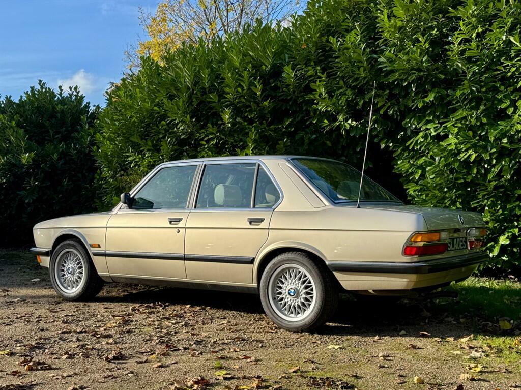 BMW 5 Series 525E Lux Blue #24