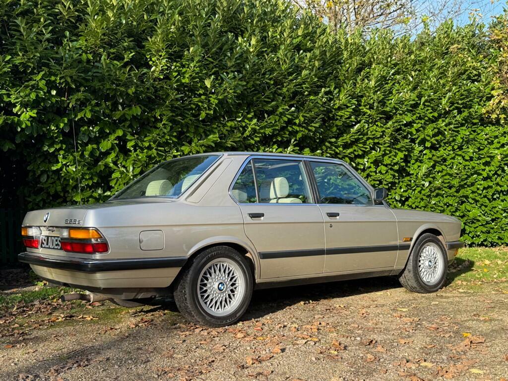 BMW 5 Series 525E Lux Blue #17