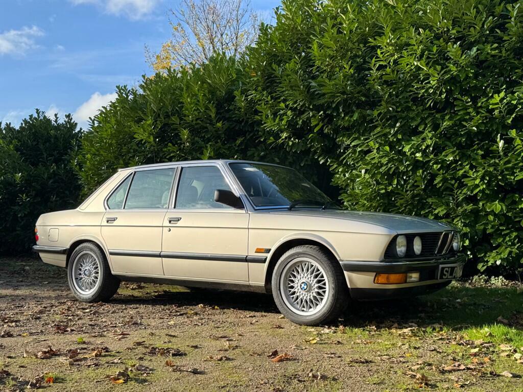 BMW 5 Series 525E Lux Blue #30
