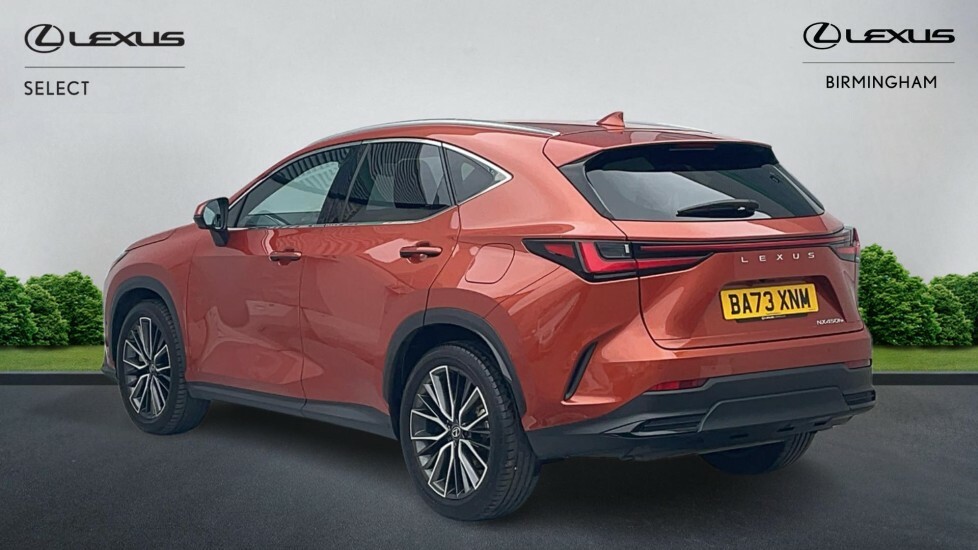 Lexus NX 2.5 450H 18.1Kwh Takumi E-cvt 4Wd Euro 6 Ss BA73XNM #2