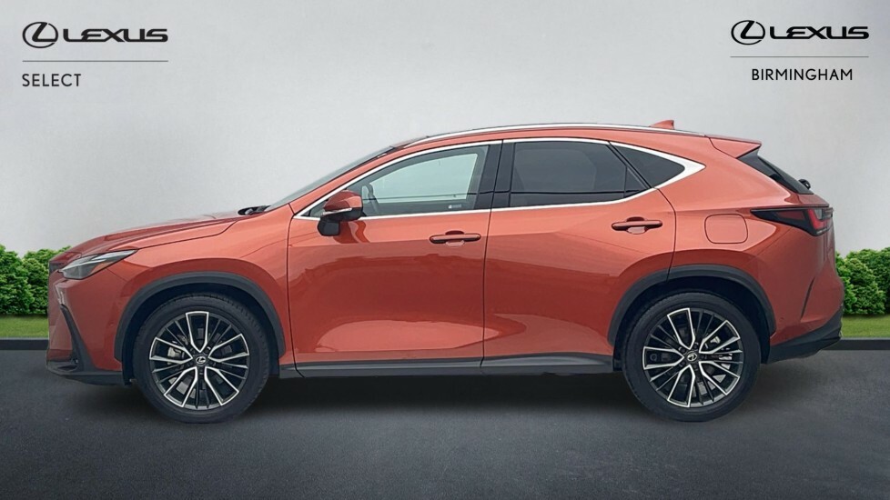 Lexus NX 2.5 450H 18.1Kwh Takumi E-cvt 4Wd Euro 6 Ss BA73XNM #3