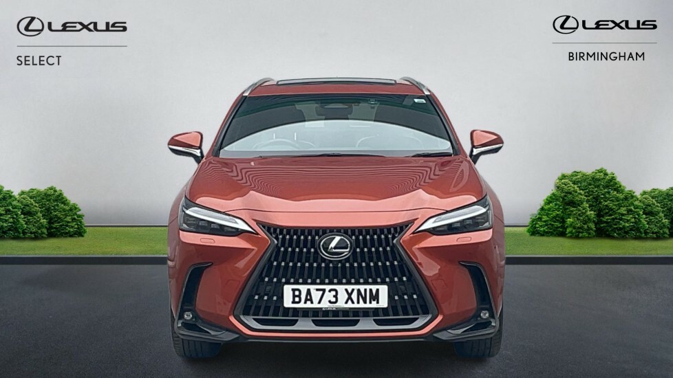 Lexus NX 2.5 450H 18.1Kwh Takumi E-cvt 4Wd Euro 6 Ss BA73XNM #4