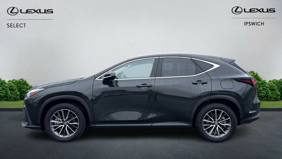 Lexus NX 2.5 450H 18.1Kwh Premium E-cvt 4Wd Euro 6 Ss 5 WP74ZZH Black #3